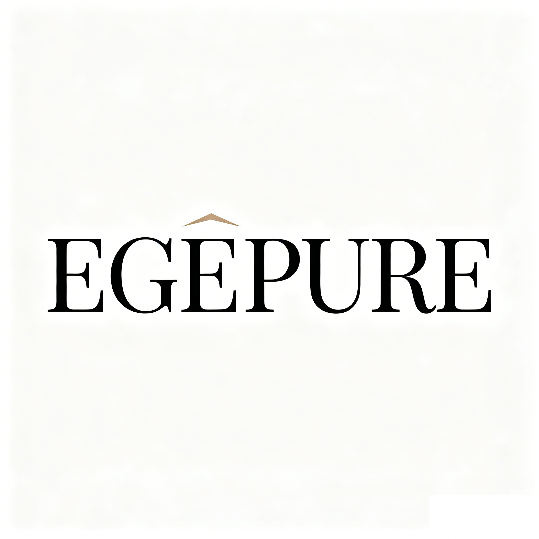 Custom Logo